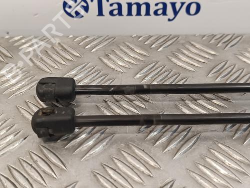 Tailgate lift support PEUGEOT 5008 (0U_, 0E_)  | BP16685396C138 
