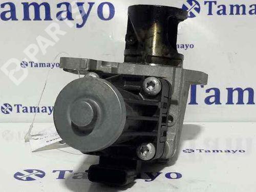 Egr NISSAN QASHQAI / QASHQAI +2 I (J10, NJ10, JJ10E)  | BP2528373M69 
