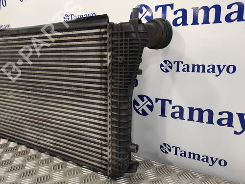 Intercooler VW GOLF V (1K1)  | BP15044911M30 