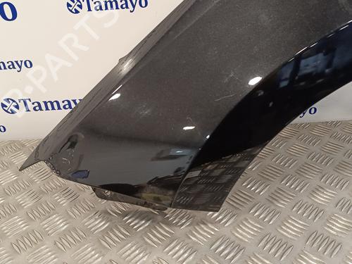 Left front fenders SKODA RAPID (NH3, NK3, NK6) 1.6 TDI | BP16780596C41 