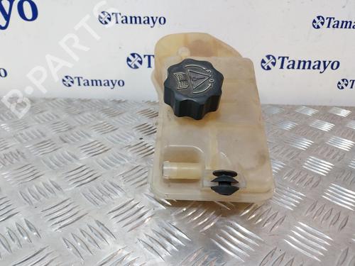 Expansion tank CITROËN XSARA PICASSO (N68)  | BP29146941C120 