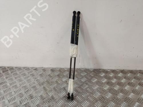 tailgate-lift-support-citroen-c3-ii-sc_-2009-40532598 main image
