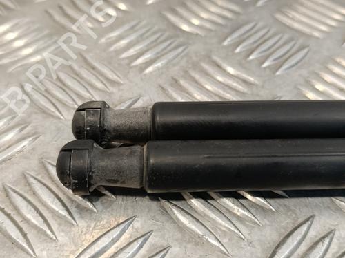 Right rear shock absorber NISSAN QASHQAI / QASHQAI +2 I (J10, NJ10, JJ10E)  | BP18782346M19 