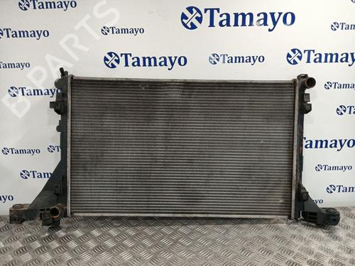 Used Water radiator RENAULT MASTER III Bus (JV) 2.3 dCi 125 FWD (JV0C, JV0D, JV0H, JV0G, JV0J) (125 hp) 30393715