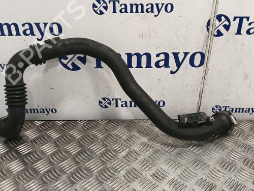 Pipe RENAULT CLIO III (BR0/1, CR0/1) | BP29940731M125