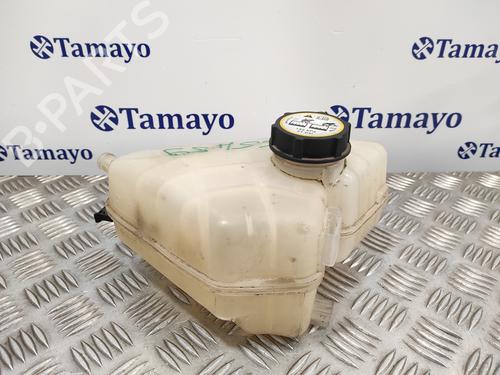 Used Expansion tank FORD FIESTA VI (CB1, CCN) 1.25 (82 hp) 16942320