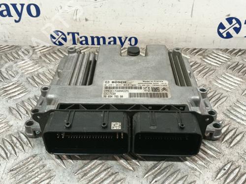 Used Engine control unit (ECU) Engine control unit (ECU) CITROËN C3 II (SC_) 1.6 BlueHDi 75 (75 hp) 36041200 36041200