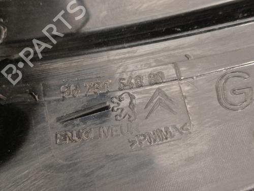 Left taillight CITROËN C4 Picasso I MPV (UD_)  | BP15555507C34 