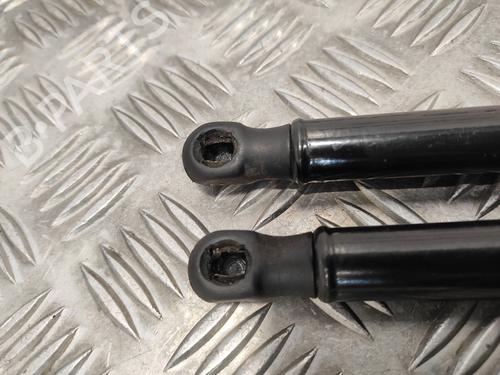 Hood lift support HYUNDAI SANTA FÉ II (CM)  | BP18082234C139 