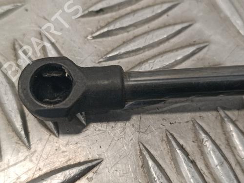 Hinge/Door check strap RENAULT TRAFIC III Van (FG_)  | BP16752349C146 