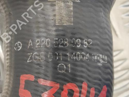 Pipe MERCEDES-BENZ S-CLASS (W220)  | BP20927667M125 