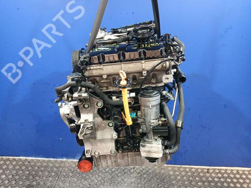 Used Engine VW GOLF V (1K1) 1.9 TDI (105 hp) 30144270