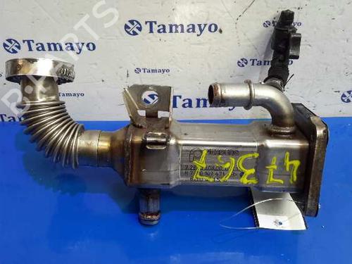 Used Egr RENAULT MEGANE II (BM0/1_, CM0/1_) 1.9 dCi (BM0G, CM0G) (120 hp) 14360064