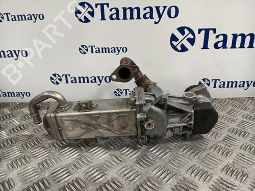 Egr VW GOLF VI (5K1) 1.6 TDI | BP30135715M69