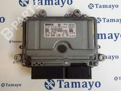Used Engine control unit (ECU) MERCEDES-BENZ A-CLASS (W169) [2004-2012]  2521373