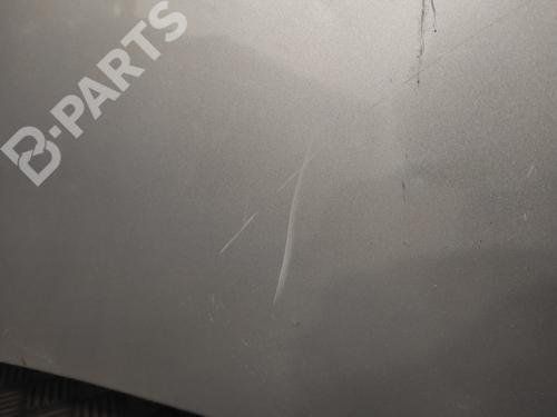Hood RENAULT CLIO III (BR0/1, CR0/1)  | BP101751C1 