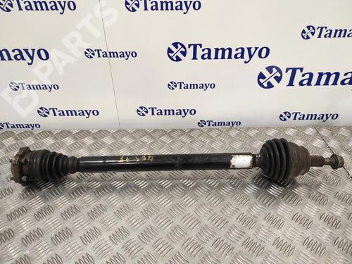 Used Right front driveshaft SEAT LEON (1M1) 1.6 16 V (105 hp) 5588633