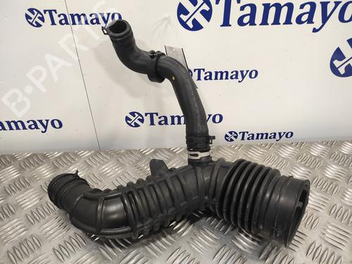 Used Pipe NISSAN QASHQAI II SUV (J11, J11_) 1.2 DIG-T (115 hp) 14358715