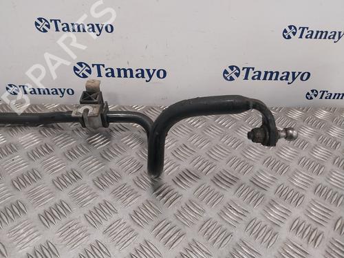 Anti roll bar RENAULT SCÉNIC II (JM0/1_)  | BP25047503M96 