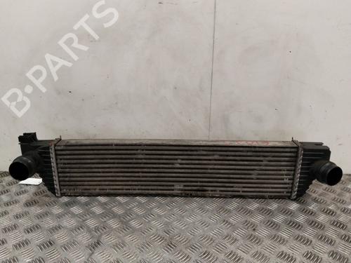 Used Intercooler Intercooler RENAULT MASTER III Van (FV) 2.3 dCi 145 FWD (FV0E, FV0F, FV0H, FV02, FV0M, FV0S,... (146 hp) 40089396 40089396