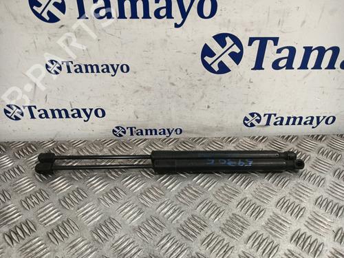 Used Tailgate lift support VW GOLF V (1K1) 1.9 TDI (105 hp) 31824242
