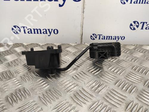 Pedal NISSAN QASHQAI / QASHQAI +2 I (J10, NJ10, JJ10E)  | BP21289335I4 