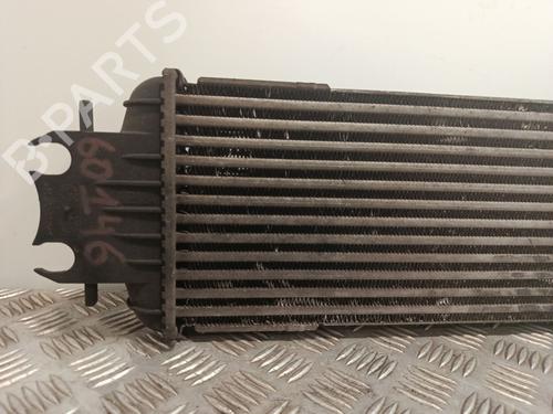 Intercooler RENAULT TRAFIC II Van (FL) 1.9 dCi 80 (FL0B) | BP33290912M30  - Image 5