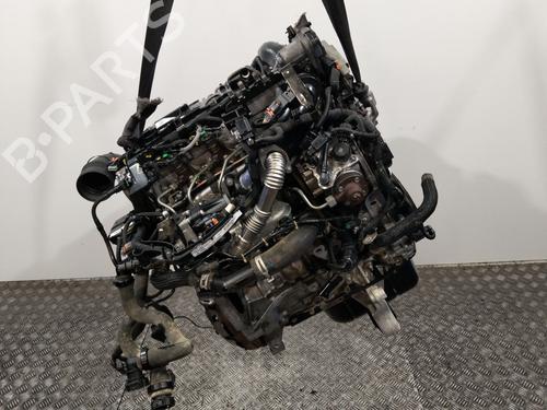Engine PEUGEOT PARTNER Box Body/MPV 1.6 HDi | BP36900155M1 - Image 3