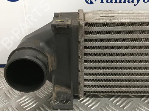 Intercooler LAND ROVER FREELANDER 2 (L359)  | BP13898048M30 