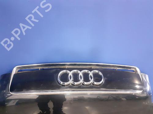 Hood AUDI A2 (8Z0)  | BP13055291C1 