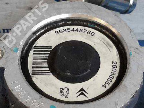 Steering pump PEUGEOT 306 Hatchback (7A, 7C, N3, N5)  | BP2691012M99 