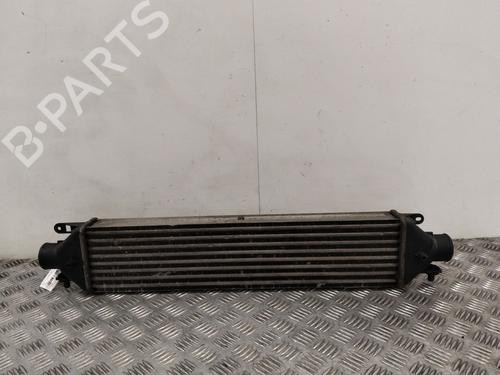 Intercooler FIAT DOBLO Cargo (263_) 1.6 D Multijet (263WXD1B, 263WXR1B, 263WXX1B, 263ZXD1B,... | BP37443050M30 - Image 2