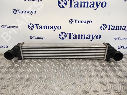 Intercooler MERCEDES-BENZ A-CLASS (W169) A 200 CDI (169.008, 169.308) (140 hp) 21521363