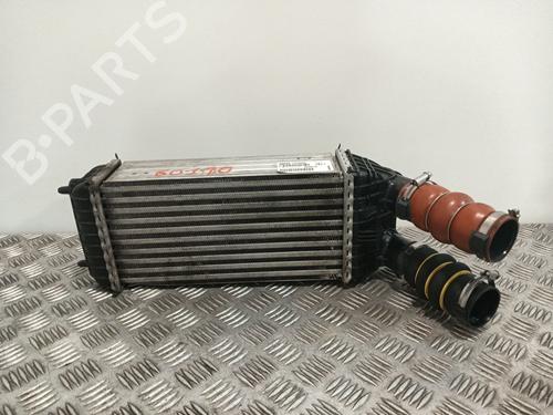 Used Intercooler Intercooler CITROËN C3 II (SC_) 1.6 BlueHDi 75 (75 hp) 36041249 36041249