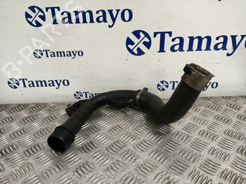 Rør DACIA SANDERO II [2012-2025]  30845281