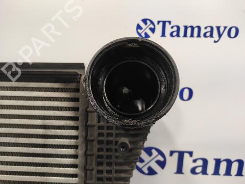Intercooler VW GOLF V (1K1)  | BP22900309M30 