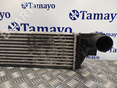 Intercooler RENAULT VEL SATIS (BJ0_) 2.2 dCi (BJ0E, BJ0F) | BP17447427M30 