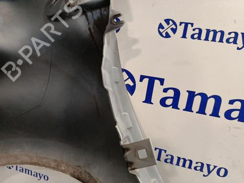 Right front fenders RENAULT CLIO III (BR0/1, CR0/1) 1.5 dCi | BP31044612C42 