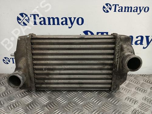 Used Intercooler CHRYSLER VOYAGER IV (RG, RS) [1999-2008]  30564358