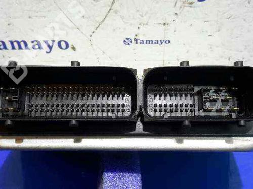 Engine control unit (ECU) SEAT IBIZA III (6L1) 1.4 TDI | BP4911426M57