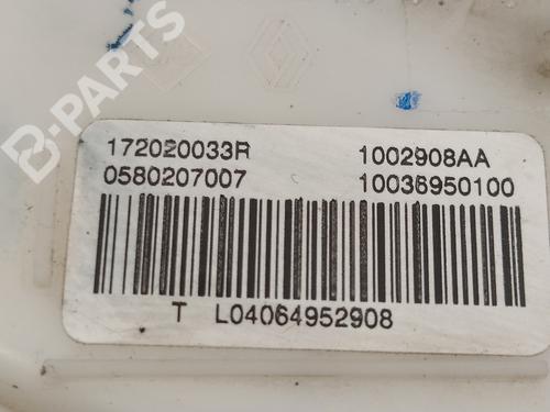 Fuel pump RENAULT MEGANE III Hatchback (BZ0/1_, B3_) 1.5 dCi | BP9695513M76 