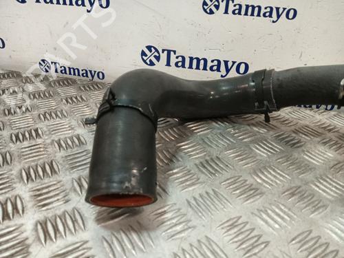 Pipe KIA CARNIVAL II (GQ) | BP32426587M125 - Image 2