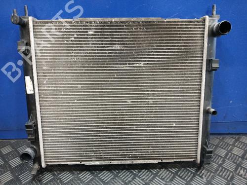 Used Water radiator NISSAN JUKE (F15) [2010-2019]  27897698