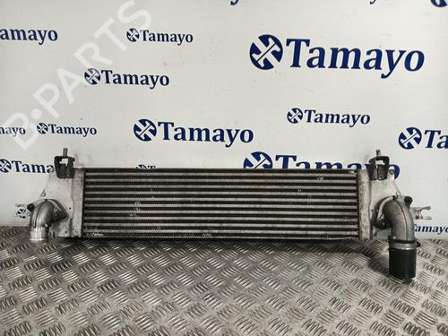 Used Intercooler NISSAN QASHQAI I (J10, NJ10) 2.0 dCi (150 hp) 30396647