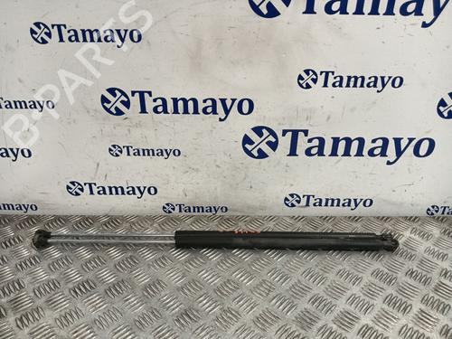 Gasdæmper bagklap CITROËN BERLINGO / BERLINGO FIRST MPV (MF_, GJK_, GFK_) 1.9 D (MFWJZ) (70 hp) 31824169