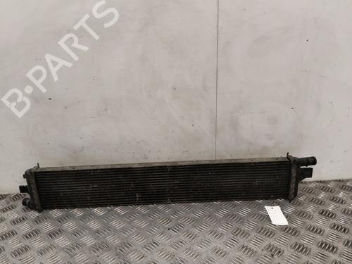 Used Water radiator Water radiator RENAULT MASTER III Van (FV) 2.3 dCi 145 FWD (FV0E, FV0F, FV0H, FV02, FV0M, FV0S,... (146 hp) 40089398 40089398