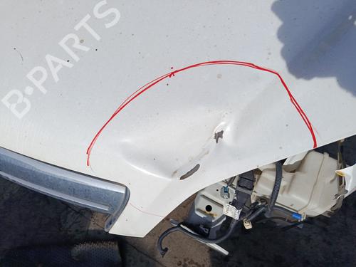 Cofano anteriore PEUGEOT 206 Hatchback (2A/C) 1.9 D | BP30053231C1 