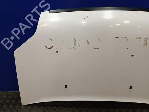 Hood FORD TRANSIT CONNECT (P65_, P70_, P80_) 1.8 TDCi | BP16659855C1