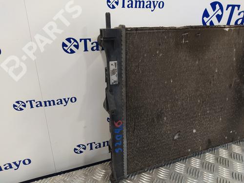 Water radiator RENAULT CLIO III (BR0/1, CR0/1)  | BP10648051M31 
