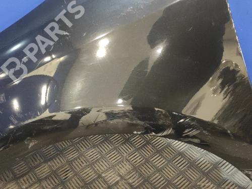 Left front fenders CITROËN C4 Coupe (LA_) 1.6 HDi | BP11528643C41 